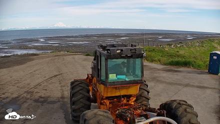 Cook Inlet Alaska Bear Viewing Live Cam - Jun 16, 2026, 8:29am AKDT