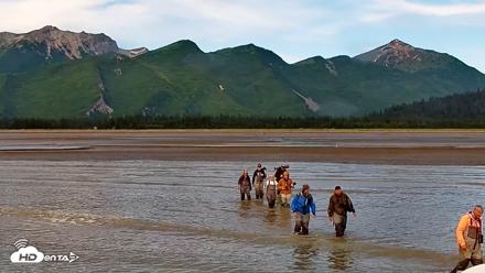 Cook Inlet Alaska Bear Viewing Live Cam - Jul 30, 2026, 12:02pm AKDT