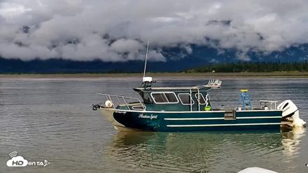 Cook Inlet Alaska Bear Viewing Live Cam - Aug 21, 2026, 10:41am AKDT