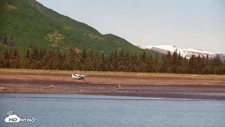 Cook Inlet Alaska Bear Viewing Live Cam - Jun 18, 2026, 1:08pm AKDT
