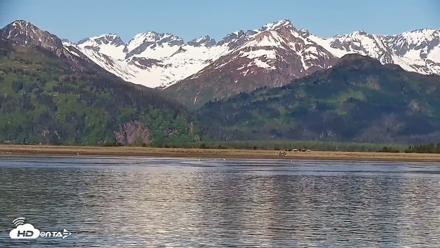 Cook Inlet Alaska Bear Viewing Live Cam - Jun 12, 2026, 11:09am AKDT
