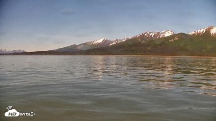 Cook Inlet Alaska Bear Viewing Live Cam - Jun 19, 2026, 10:24am AKDT