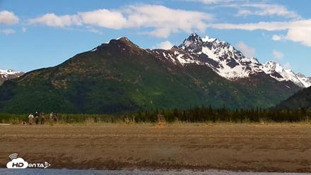 Cook Inlet Alaska Bear Viewing Live Cam - Jun 12, 2026, 11:53am AKDT