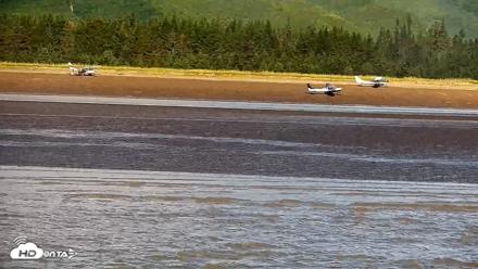 Cook Inlet Alaska Bear Viewing Live Cam - Aug 14, 2026, 11:53am AKDT