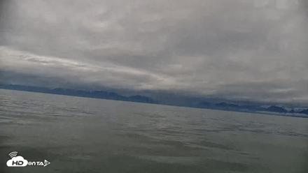 Cook Inlet Alaska Bear Viewing Live Cam - Jun 15, 2026, 9:08am AKDT