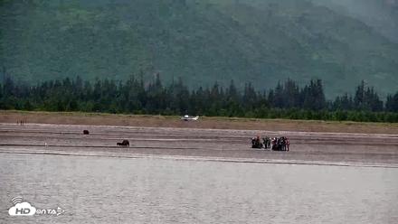 Cook Inlet Alaska Bear Viewing Live Cam - Jul 16, 2026, 10:28am AKDT