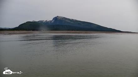 Cook Inlet Alaska Bear Viewing Live Cam - Aug 30, 2026, 10:13am AKDT
