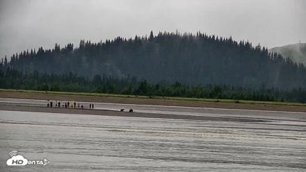 Cook Inlet Alaska Bear Viewing Live Cam - Jul 18, 2026, 11:57am AKDT