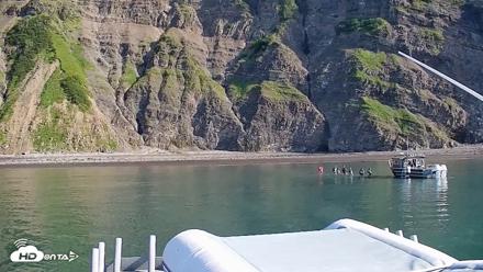 Cook Inlet Alaska Bear Viewing Live Cam - Aug 27, 2026, 11:02am AKDT