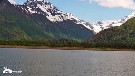 Cook Inlet Alaska Bear Viewing Live Cam - Jun 12, 2026, 11:32am AKDT