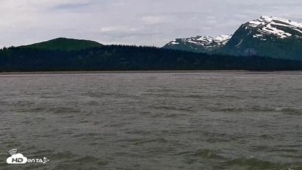 Cook Inlet Alaska Bear Viewing Live Cam - Jul 3, 2026, 12:20pm AKDT
