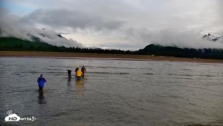 Cook Inlet Alaska Bear Viewing Live Cam - Jun 24, 2026, 8:31am AKDT