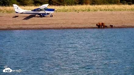 Cook Inlet Alaska Bear Viewing Live Cam - Jun 8, 2026, 9:57am AKDT
