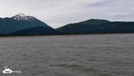 Cook Inlet Alaska Bear Viewing Live Cam - Jul 3, 2026, 12:20pm AKDT