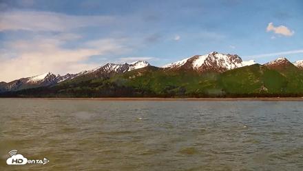 Cook Inlet Alaska Bear Viewing Live Cam - Jun 16, 2026, 11:42am AKDT
