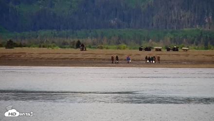 Cook Inlet Alaska Bear Viewing Live Cam - Jun 12, 2026, 11:29am AKDT