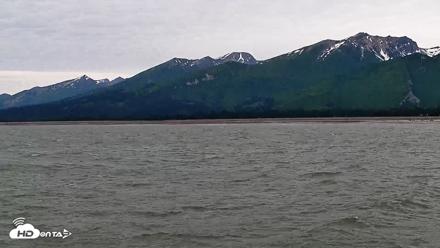 Cook Inlet Alaska Bear Viewing Live Cam - Jul 3, 2026, 12:20pm AKDT