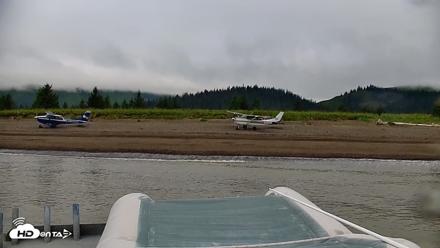 Cook Inlet Alaska Bear Viewing Live Cam - Aug 7, 2026, 10:41am AKDT