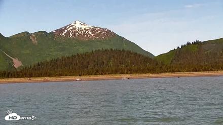 Cook Inlet Alaska Bear Viewing Live Cam - Jul 6, 2026, 12:20pm AKDT