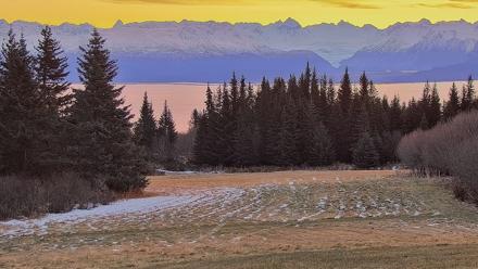 Inspiration Ridge - Homer Alaska Live Webcam - Dec 19, 2025, 9:53am AKST