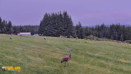 Inspiration Ridge - Homer Alaska Live Webcam - Aug 21, 2026, 10:29am AKDT