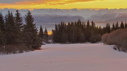 Inspiration Ridge - Homer Alaska Live Webcam - Jan 18, 2026, 11:41am AKST