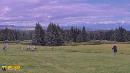 Inspiration Ridge - Homer Alaska Live Webcam - Aug 23, 2026, 9:07pm AKDT