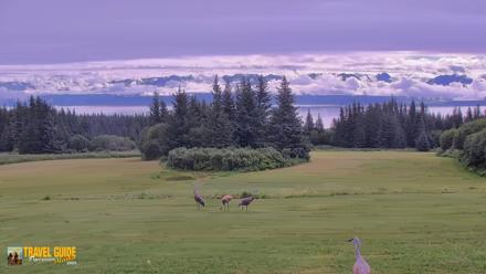 Inspiration Ridge - Homer Alaska Live Webcam - Aug 21, 2026, 11:08am AKDT