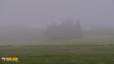 Inspiration Ridge - Homer Alaska Live Webcam - Jul 3, 2026, 6:00am AKDT