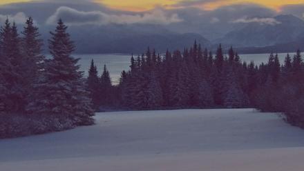 Inspiration Ridge - Homer Alaska Live Webcam - Jan 7, 2026, 9:33am AKST