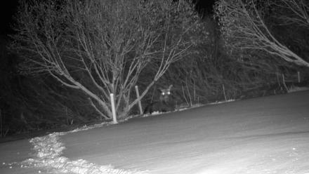 Inspiration Ridge - Homer Alaska Live Webcam - Jan 6, 2026, 1:57am AKST