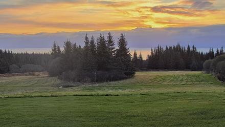Inspiration Ridge - Homer Alaska Live Webcam - Oct 17, 2025, 9:07am AKDT