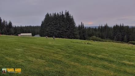 Inspiration Ridge - Homer Alaska Live Webcam - Aug 21, 2026, 6:35am AKDT