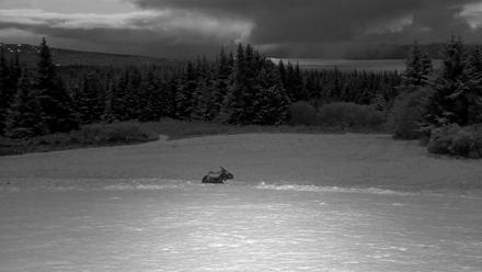 Inspiration Ridge - Homer Alaska Live Webcam - Nov 4, 2025, 6:03pm AKST