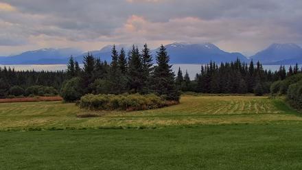 Inspiration Ridge - Homer Alaska Live Webcam - Sep 9, 2025, 7:04am AKDT