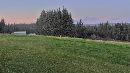 Inspiration Ridge - Homer Alaska Live Webcam - Oct 14, 2025, 6:59pm AKDT