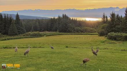Inspiration Ridge - Homer Alaska Live Webcam - Aug 24, 2026, 8:20am AKDT