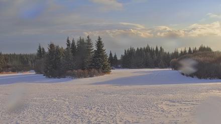 Inspiration Ridge - Homer Alaska Live Webcam - Jan 16, 2026, 11:46am AKST