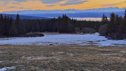 Inspiration Ridge - Homer Alaska Live Webcam - Feb 6, 2026, 10:01am AKST