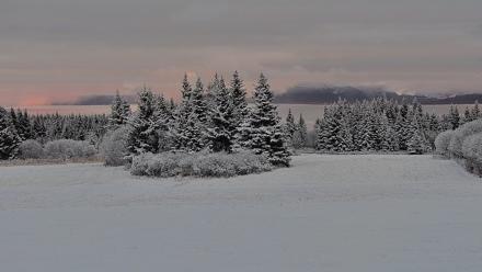 Inspiration Ridge - Homer Alaska Live Webcam - Nov 4, 2025, 6:52pm AKST