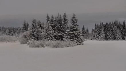 Inspiration Ridge - Homer Alaska Live Webcam - Jan 11, 2026, 2:57pm AKST