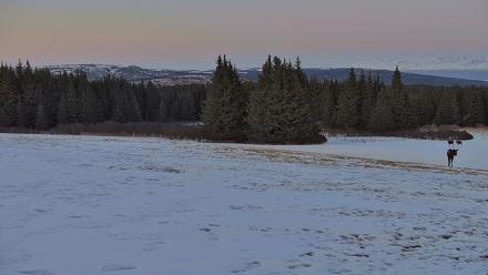 Inspiration Ridge - Homer Alaska Live Webcam - Apr 1, 2026, 10:03pm AKDT