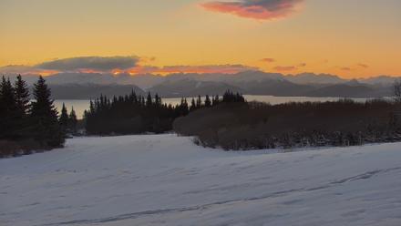 Inspiration Ridge - Homer Alaska Live Webcam - Feb 15, 2026, 8:40am AKST