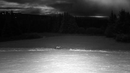 Inspiration Ridge - Homer Alaska Live Webcam - Nov 4, 2025, 6:45pm AKST