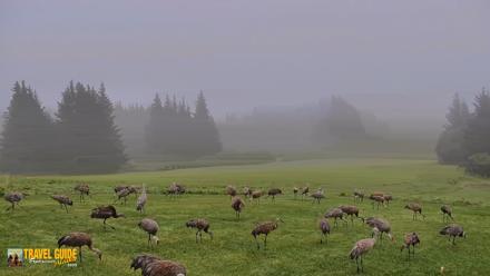 Inspiration Ridge - Homer Alaska Live Webcam - Aug 26, 2026, 8:21am AKDT