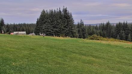 Inspiration Ridge - Homer Alaska Live Webcam - Sep 12, 2025, 10:30am AKDT