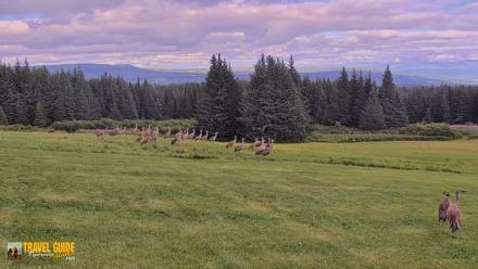 Inspiration Ridge - Homer Alaska Live Webcam - Aug 23, 2026, 10:28pm AKDT