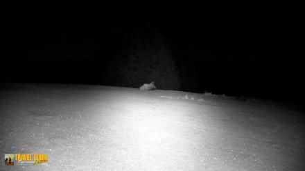 Inspiration Ridge - Homer Alaska Live Webcam - Oct 22, 2026, 10:48pm AKDT