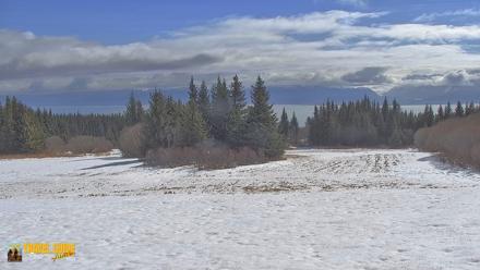Inspiration Ridge - Homer Alaska Live Webcam - Apr 18, 2026, 12:10pm AKDT