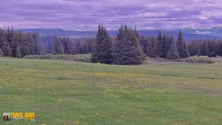 Inspiration Ridge - Homer Alaska Live Webcam - Jun 22, 2026, 11:02am AKDT
